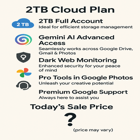 Gemini PRO  + Google on 2TB 15 Months Account