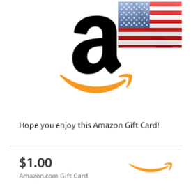 Amazon.com Gift Card - $1 USD(storable)